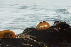 Un documental revela cómo Garfield contamina las playas de Bretaña