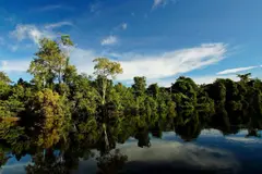 Brasil implementa un paquete de leyes para proteger la Amazonía y fomentar la sostenibilidad