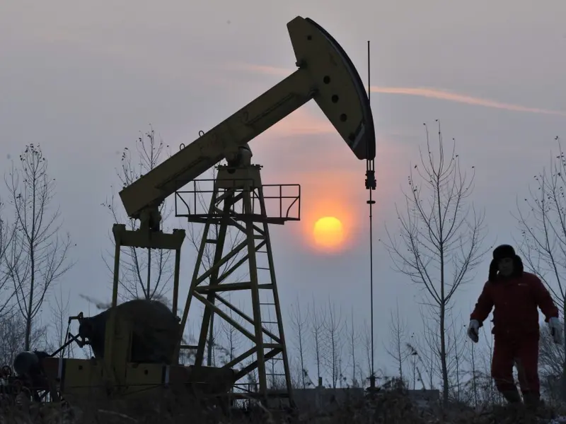La bioeconomía territorial, clave ante la crisis energética global