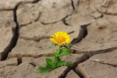 El sur de España enfrenta grave desertificación por sequía y mal uso del agua