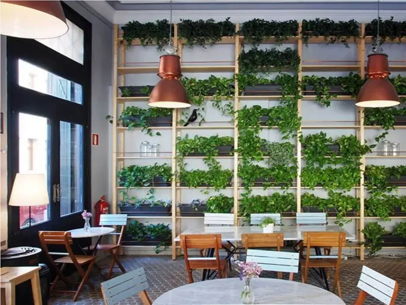 El sello CAAE impulsa la restauración ecológica en Andalucía con 14 nuevos restaurantes certificados
