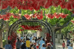 Críticas ecologistas a Zaragoza Florece por su impacto ambiental y biodiversidad