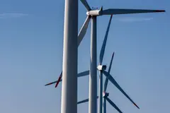 Controversia por el clúster eólico del Maestrazgo y su impacto ambiental