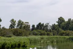 Nuevo proyecto de restauración ambiental para la Laguna de Las Madres en Huelva