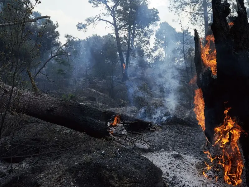 Incendios forestales en España: el impacto del cambio climático y la salud materno-infantil