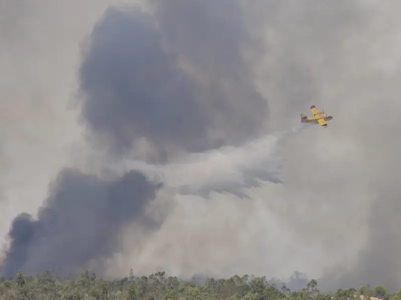 El incendio en Niebla (Huelva) arrasa 4.000 hectáreas y deja a 70 personas desalojadas