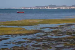 Ecologistas critican el nuevo programa del Gobierno murciano contra la contaminación por nitratos