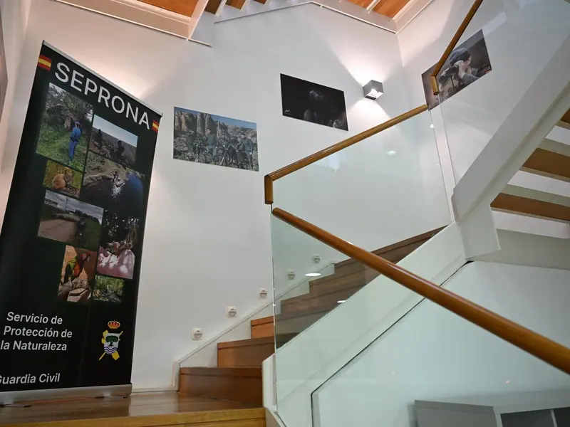 Inauguran instituto de la Guardia Civil para combatir delitos ambientales en España