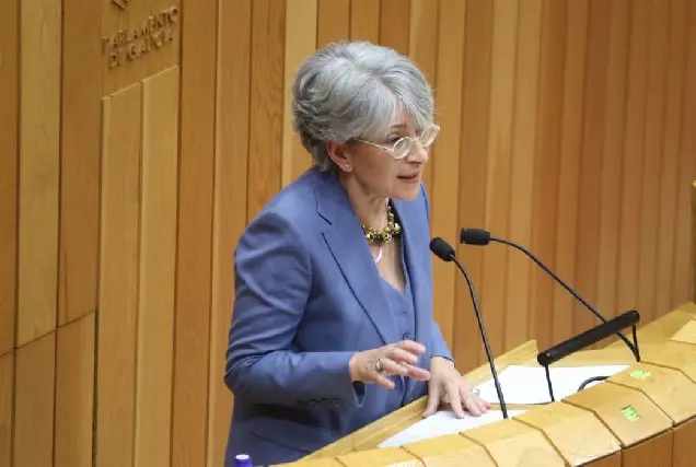 El PSdeG reivindica mejoras en las carreteras AC-183 y AC-173 para Oleiros