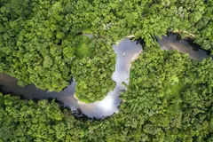 El Amazonas y sus ríos voladores: un recurso vital amenazado por la deforestación