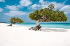 La Unesco designa 14 nuevas reservas de la biosfera en 2023