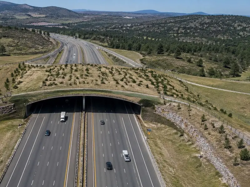 Inauguran un megapuente para la fauna en Colorado que reduce atropellos