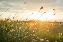 Inestabilidad atmosférica en España: Tormentas y calima marcan el 28 de abril