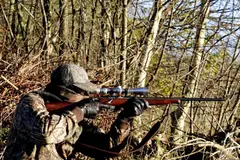 Denuncian graves irregularidades en coto de caza de Viérnoles que comprometen la biodiversidad