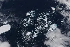 Colapso del iceberg A-23A revela efectos del calentamiento de los océanos