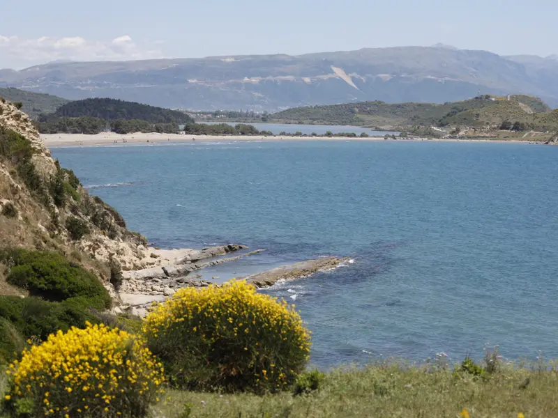 Proyectos de la familia Trump amenazan humedales en Albania y sus especies protegidas