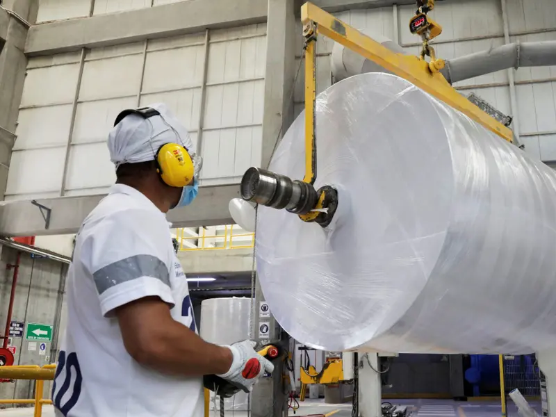 La industria papelera apuesta por la innovación y sostenibilidad ante nuevos desafíos