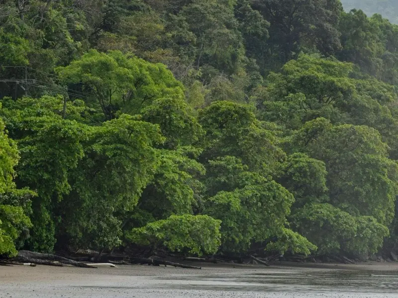 Costa Rica enfrenta serios retos ambientales por minería ilegal y deforestación en 2026