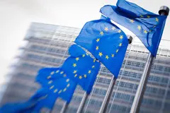 Bruselas evalúa flexibilizar normativas ambientales ante presión geopolítica