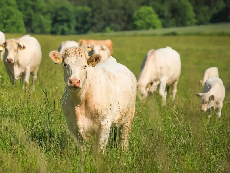 Cantabria destina más de 900.000 euros a la producción ecológica con fondos europeos