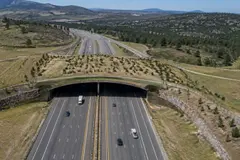 Inauguran un megapuente para la fauna en Colorado que reduce atropellos