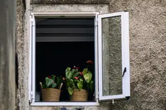 España y Francia lideran el auge de la jardinería urbana en Europa