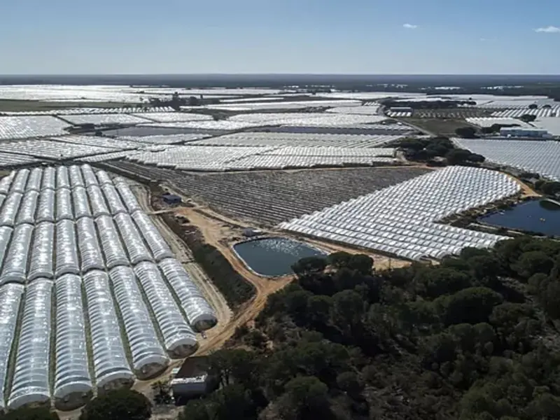 El proyecto FARO Doñana impulsa la agricultura sostenible en Andalucía