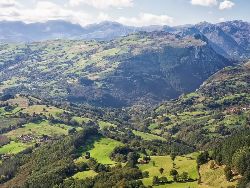 Bizkaia implementa nueva norma foral de montes para mejorar la gestión forestal