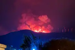 Incendios en España: la urgencia de actuar ante el cambio climático y la gestión del entorno