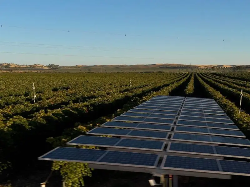 Las energías renovables fortalecen el mundo rural desmitificando conceptos erróneos