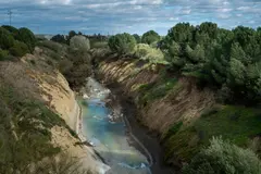 Greenpeace alerta sobre vertidos tóxicos en Aznalcóllar que amenazan el Guadalquivir