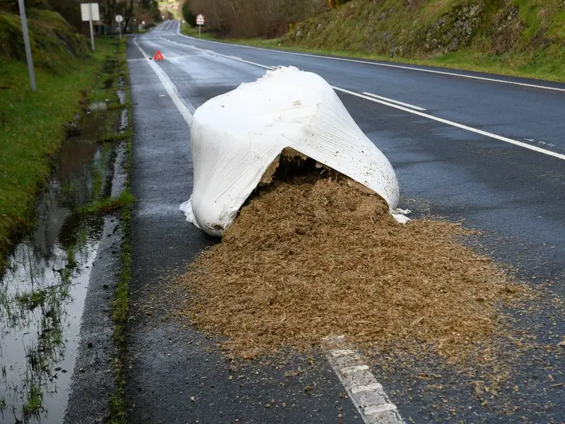Vertido de silo de maíz obstruye una vía en Oleiros