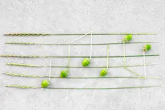 La música española inicia un diagnóstico de sostenibilidad medioambiental