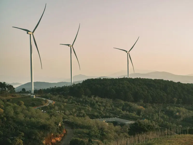 La aceptación social es clave para el éxito de las energías renovables, según Fundación Naturgy
