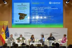 Investigación advierte sobre el riesgo de incendios forestales en España por el cambio climático