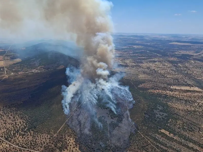 Incendios forestales queman 39.709 hectáreas en España hasta junio, un aumento alarmante