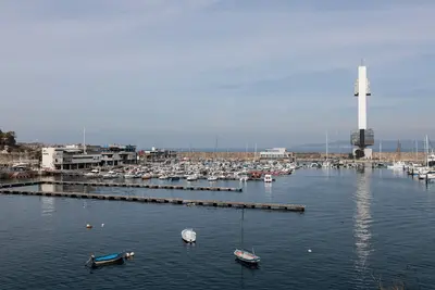 Expertos se reúnen en A Coruña y Oleiros para abordar la biodiversidad marina