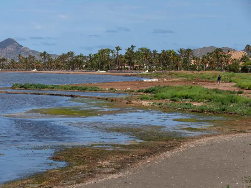 Proyecto Nereidas: Red de datos para el Mar Menor y el litoral mediterráneo