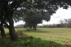 Críticas por la apertura de pistas forestales en La Rioja y su impacto en encinares