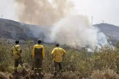 Cáceres implementa un plan de prevención de incendios en 104 municipios