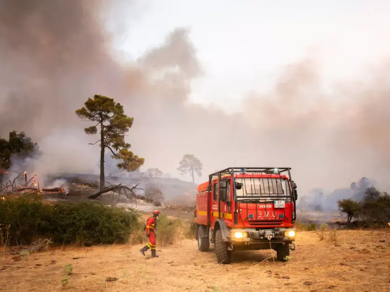 España enfrenta un verano con serias carencias en la prevención de incendios forestales