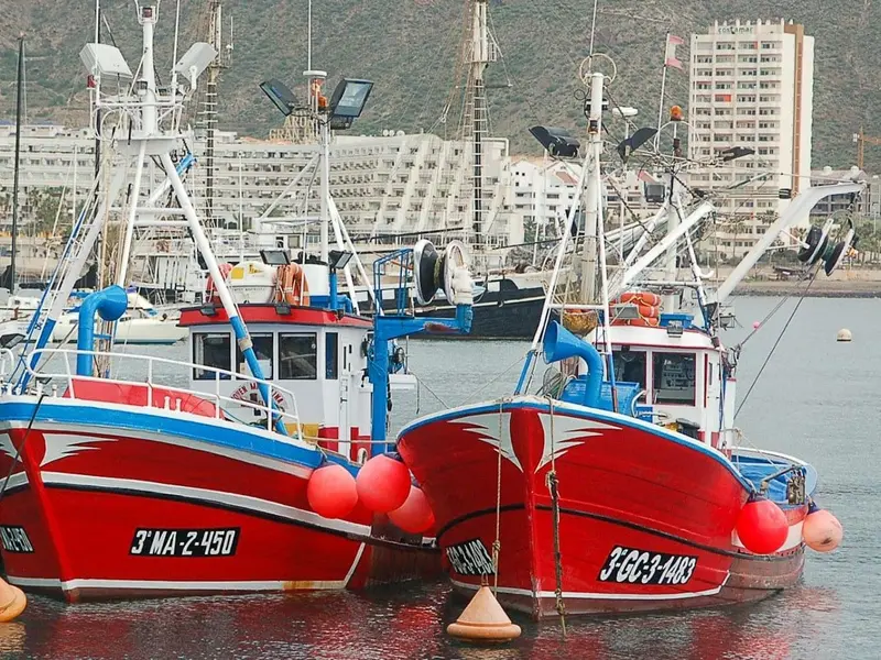 Conflicto entre pesca canaria y eólica marina llega al Parlamento Europeo por impacto sectorial