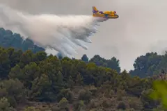 Incendios forestales en España: la lucha contra el fuego se intensifica