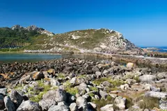 Erradicación de especies invasoras en Cíes y Corrubedo para proteger la biodiversidad