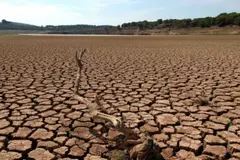 España refuerza su acción climática hacia la neutralidad en 2050 tras 25 años de la Oficina del Cambio Climático