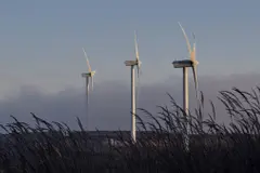 El BCE resalta la importancia de la transición energética de España hacia energías renovables