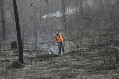 Los incendios forestales destruyen 157 millones de hectáreas en el primer cuatrimestre de 2026
