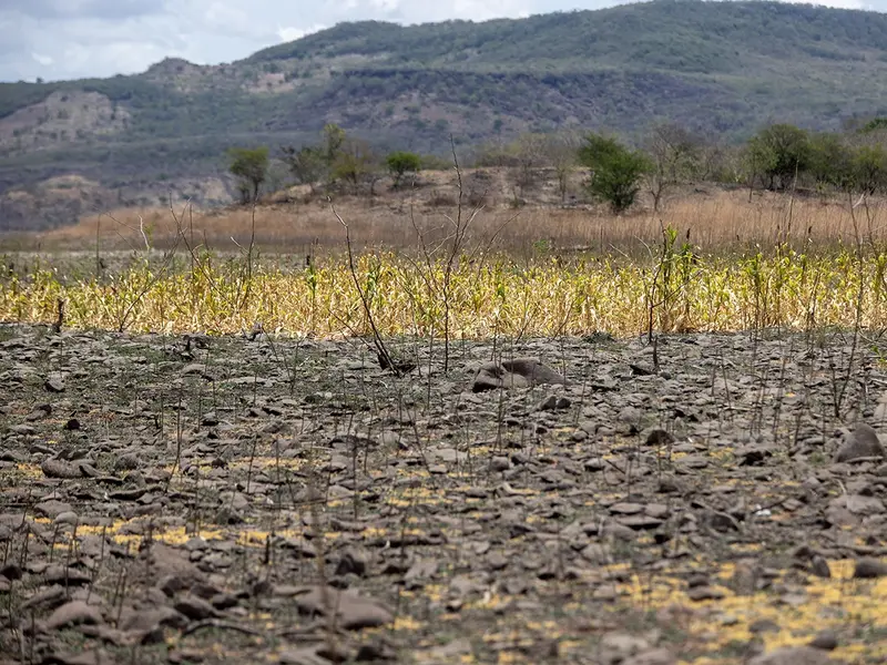 Urgente necesidad de un enfoque interdisciplinario en la acción climática