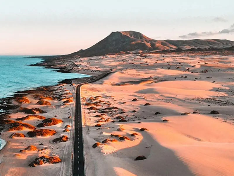 Canarias impulsa cooperación científica para la conservación de su biodiversidad