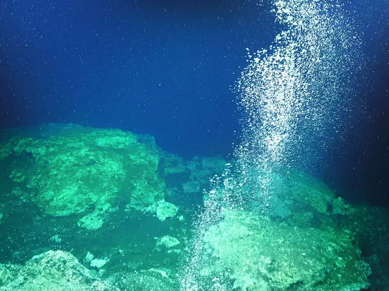 Investigación revela cómo la tectónica impulsa microbios del fondo marino a la superficie